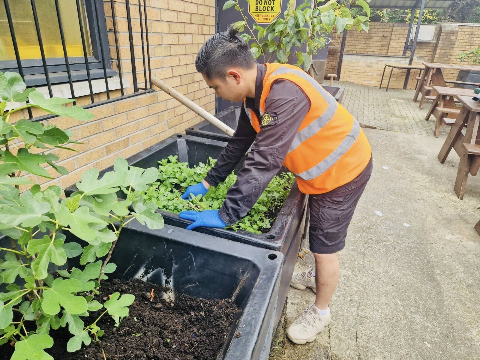 The Orchard Project at Tiffin