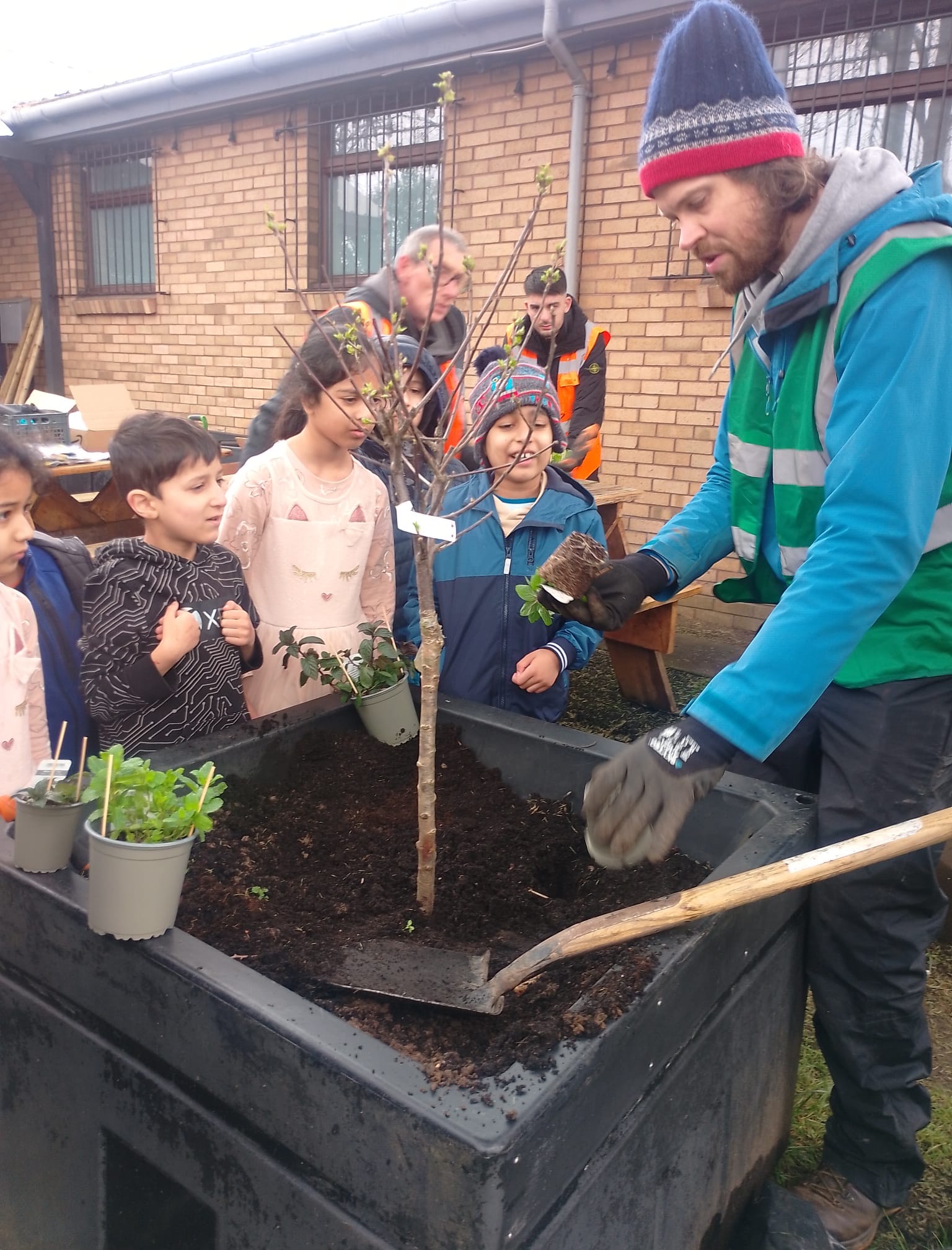 The CCG Orchard Project at Tiffin